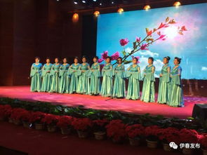 基层动态 伊春区委宣传部举办 中国梦 劳动美 文化服务进社区演出活动